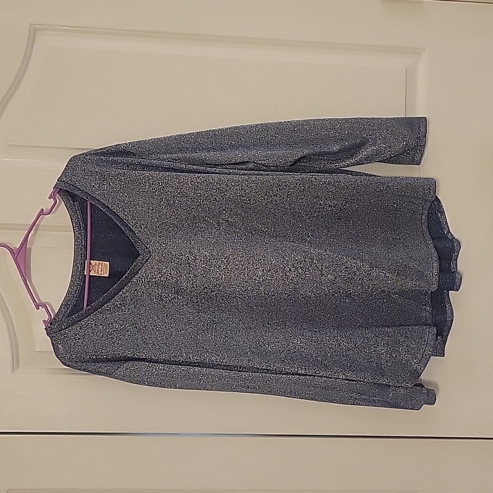 Faded Glory Women's Plus 4X Blue sparkly long sleeve, V-neck shirt.  NWOT.